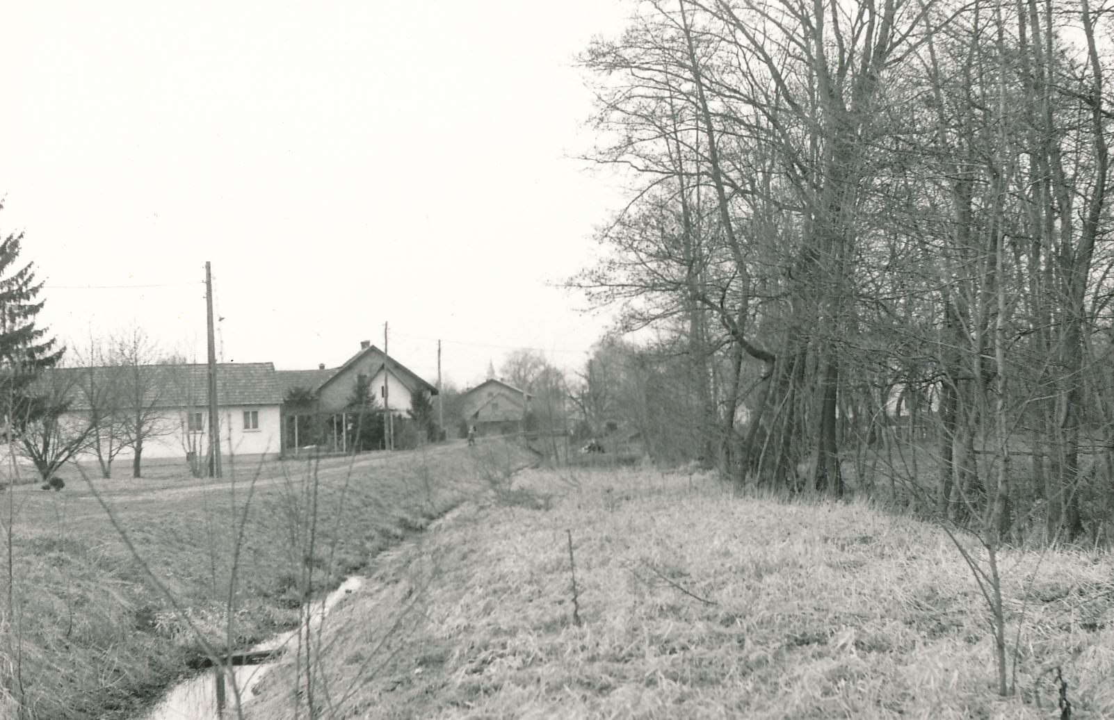 eika image